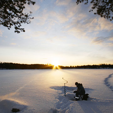 snowshoe