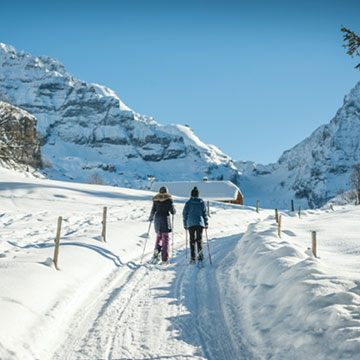 swiss-adventure